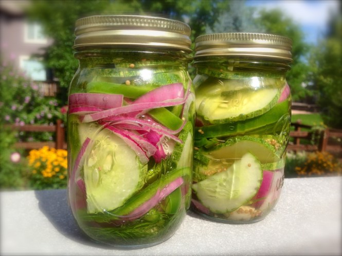 Pickles Cucumbers with Garlic, Peppers and Onion.