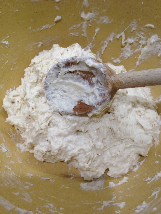 What the dough looks like when initially mixed