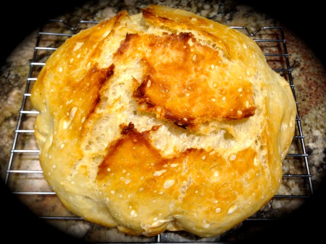 Artisan No-Knead Bread