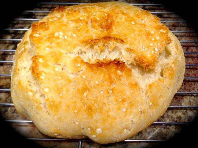 Artisan No Knead Bread