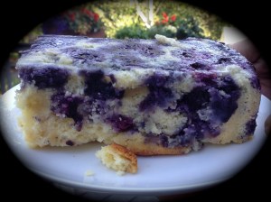 The blueberry disaster...