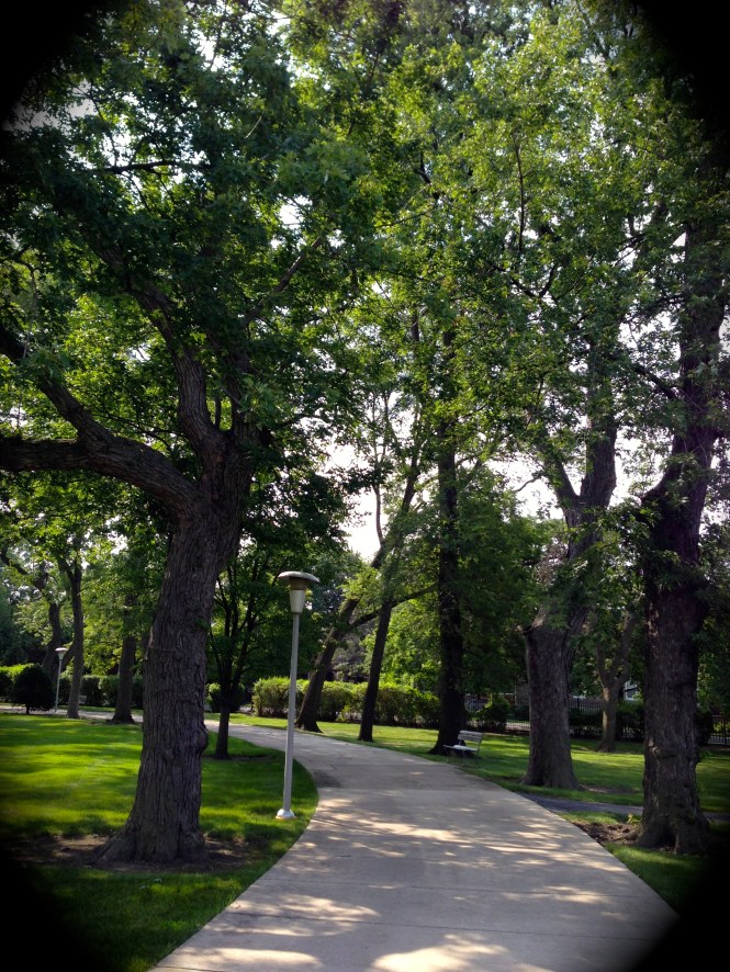 The Motherhouse grounds...