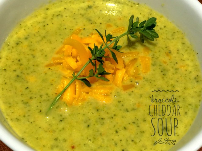 Broccoli Cheddar Soup
