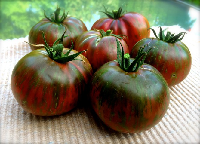 Tie-Dyed Tomatoes