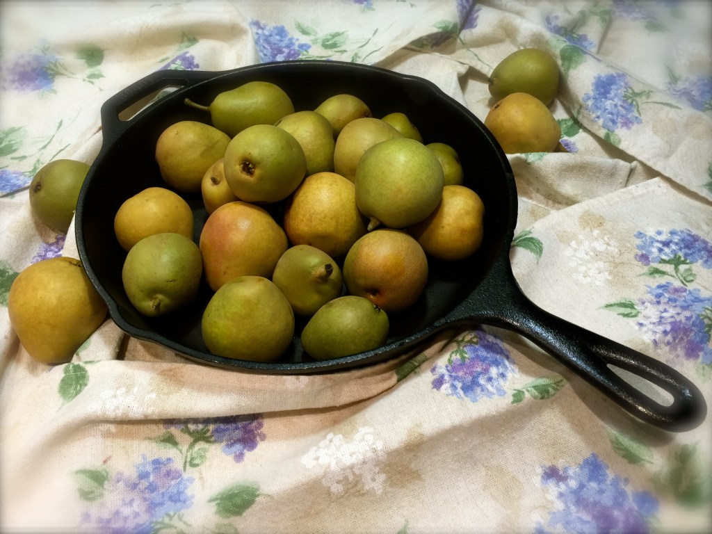 Fresh Pear Compote… – You Betcha Can Make This!